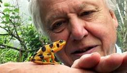 Atlantic Productions Addresses Attenborough VR Reports