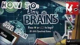 How to: Tiny Brains with Joel & Adam