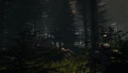 The Forest