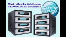 What Is Reseller Web Hosting And What Are Its Advantages? | Alpha VBox Blog