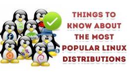 Things To Know About The Most Popular Linux Distributions | Alphavbox