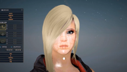 Black Desert: Sorcerer Class Customization