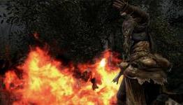 60 FPS was Worth the Wait for Dark Souls II on PC