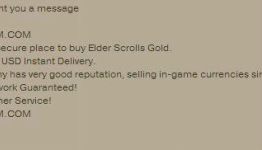 Elder Scrolls Online dev requests players name and shame gold spammers