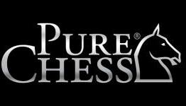 Pure Chess (PS4) Review – The Gamers Lounge