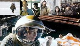 17 Best Survival Movies of All Time