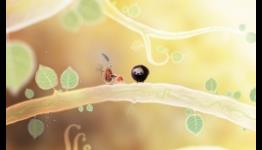 Botanicula Review | Applenapps
