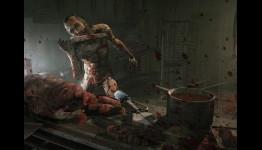Zero1gaming – Outlast: Whistleblower DLC Review