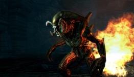 The Predalien Arrives on AVP: Evolution
