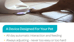 Introducing CleverPet: the world’s first game console for dogs