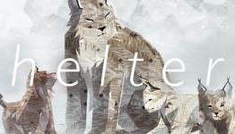 More Details Surrounding Shelter 2