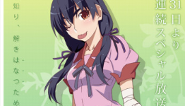 Hanamonogatari to Be Postponed until August 2014