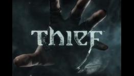 Thoughts On Thief
