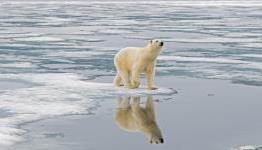 Climate Change in Video Games
