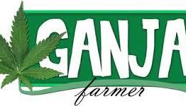 4 Free Weed Farm Apps For Android