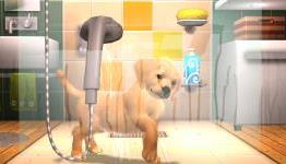 The Vita Lounge Exclusive Vita Pets Interview