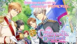 The Cinderella Contract