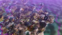 Pandora reaches the Steam planet!