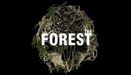 The Forest: First Impressions (Early Access)