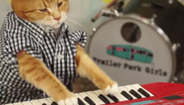 Keyboard Cat is back with a new music video