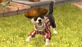 Review: PlayStation Vita Pets (DarkZero)