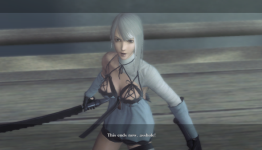 Nier Retrospective