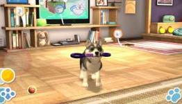 Review: PS Vita Pets – vitasite