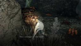 Plus XP’s Dark Souls 2 Guide