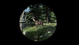 10 Fixes for theHunter Crashes, Errors, Windows 8 compatibility, Avatar not showing, Bugs and More