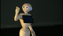 Personal Robot Another Reason to Go to Japan