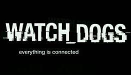 Potholes Found in Watch Dogs
