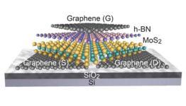 2D Transistors Promise a Faster Electronics Future