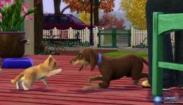 PlayStation Vita Pets Review – (PlayStation Universe)