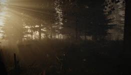 The Forest Review on CalmDownTom