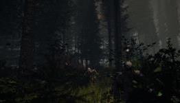 The Forest Preview – Early Access Survival Horror