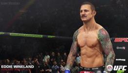 PS4Home: UFC Review