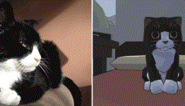 Crowdfunding Chaos: Cats in Space