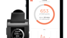 Pebble Partners With Misfit To Introduce Fitness Tracking