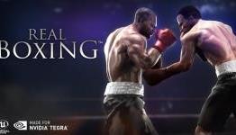 Real Boxing – Tips and Cheats: The Strategy Guide