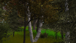 Oculus Rift Support Confirmed for Tree Simulator 2013: Treeloaded