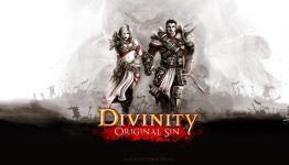 Divinity Original Sin Review: The RPGiest RPG | TechRaptor