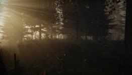 The Forest alpha impressions | Thunderbolt