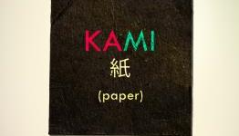 KAMI Review