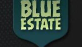 Otaku Dome: Blue Estate Review