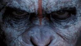 Dawn of the Planet of the Apes Review | SkipScene
