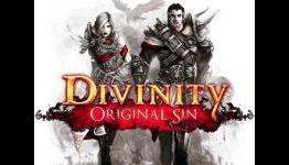 Divinity: Original Sin Review | CheatMasters