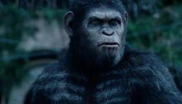 Dawn of the Planet of the Apes Review | Clickonline