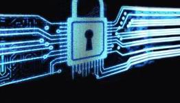 The Dynamics of Cyber Security