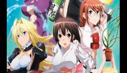 Sekirei Complete Collection Anime DVD Review | Fandom Post