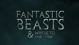 Fantastic Beasts and Where to Find Them – Do I Want it?